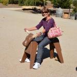 Cambria_2015_0145 (November 07, 2015)